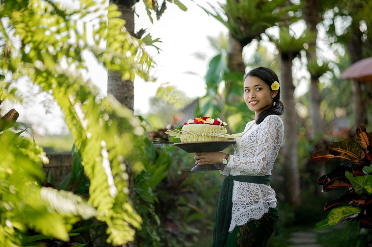 Cenik Villa Ubud Extérieur photo