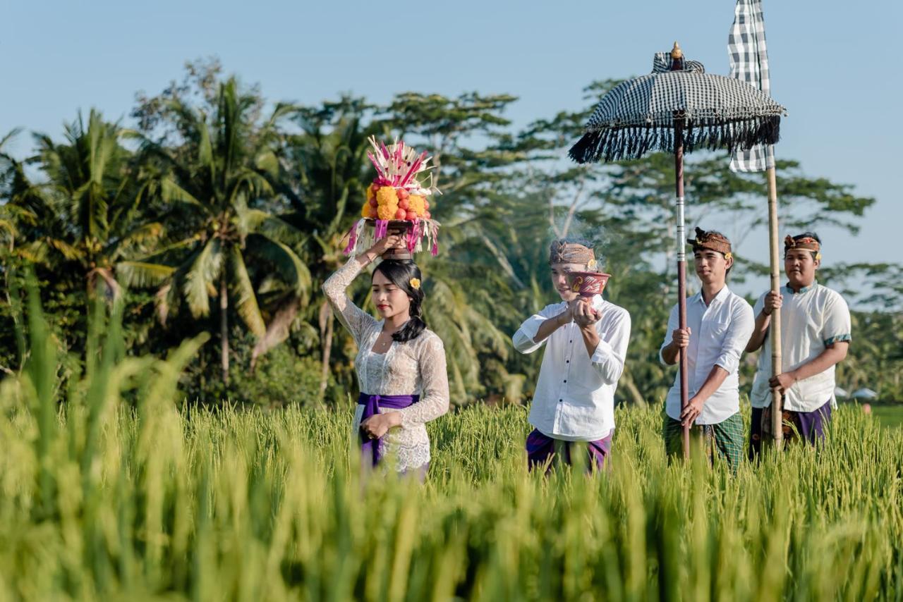 Cenik Villa Ubud Extérieur photo