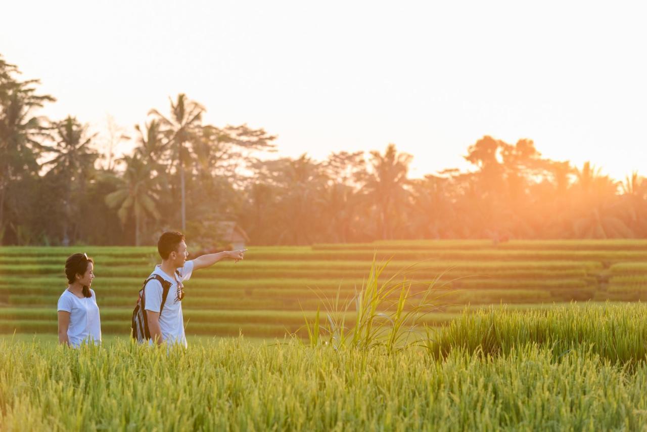 Cenik Villa Ubud Extérieur photo