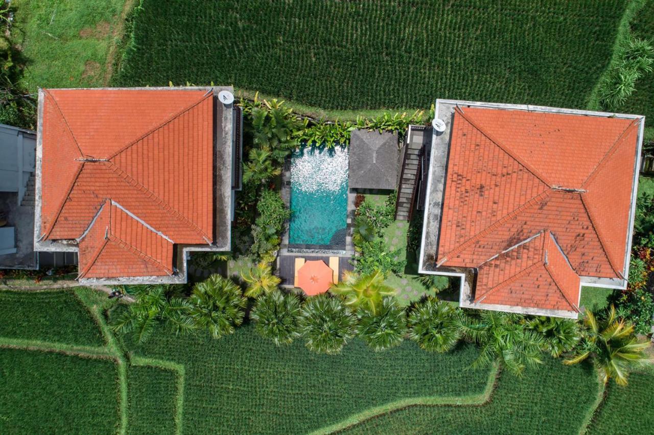Cenik Villa Ubud Extérieur photo